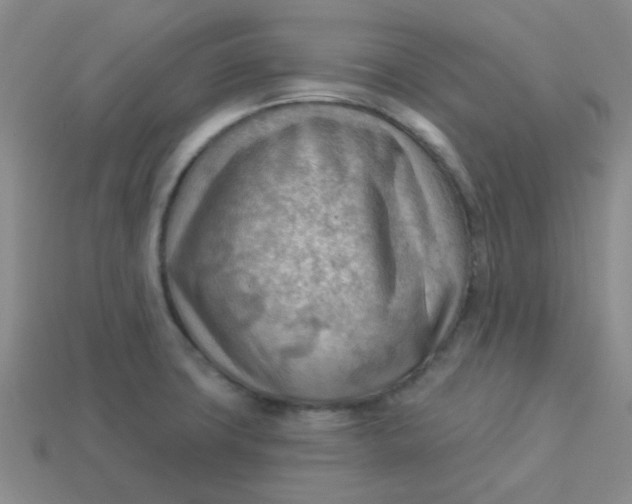 X0000113901427200910151346