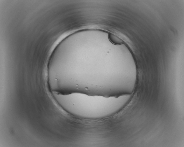 X0000113901428200910151346