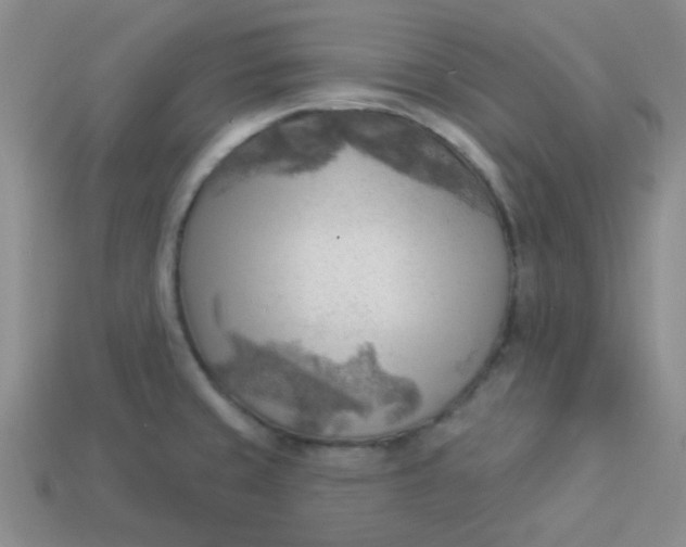 X0000113901429200910151346