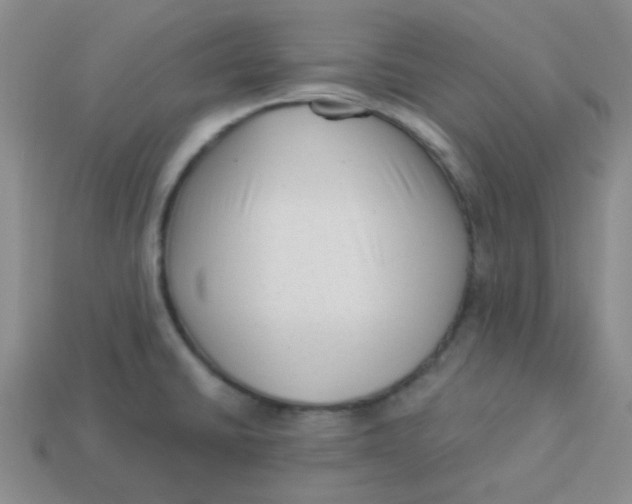 X0000113901430200910151346