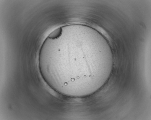 X0000113901431200910151346