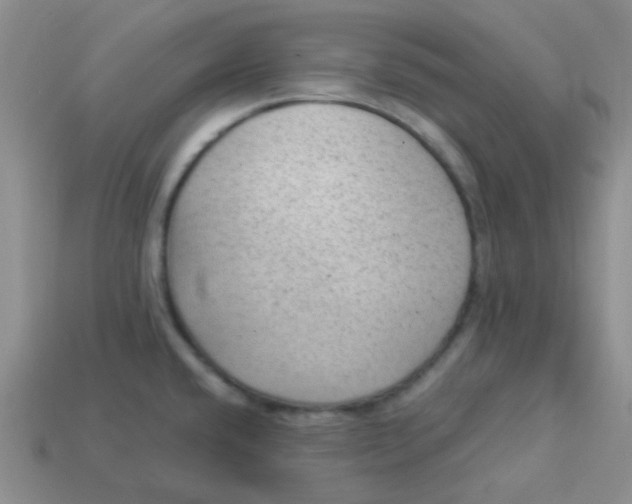 X0000113901432200910151346