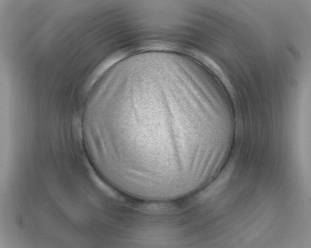 X0000113901433200910151346