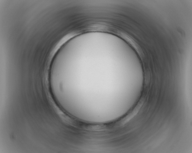 X0000113901434200910151346