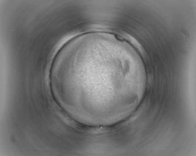 X0000113901435200910151346