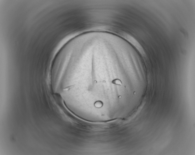 X0000113901436200910151346