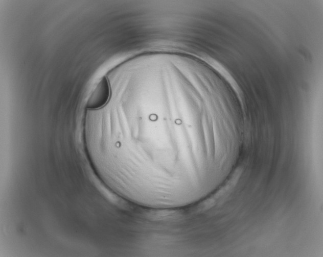 X0000113901437200910151346