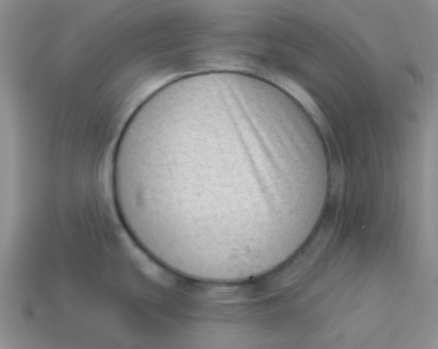 X0000113901439200910151346