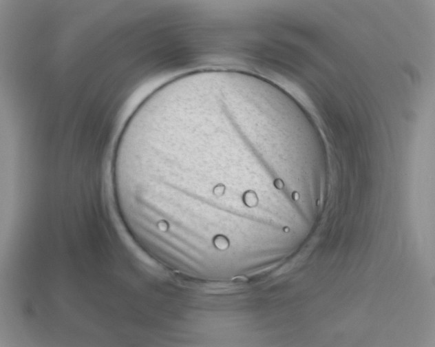 X0000113901440200910151346