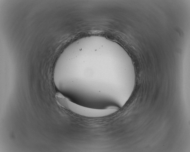 X0000113901441200910151345