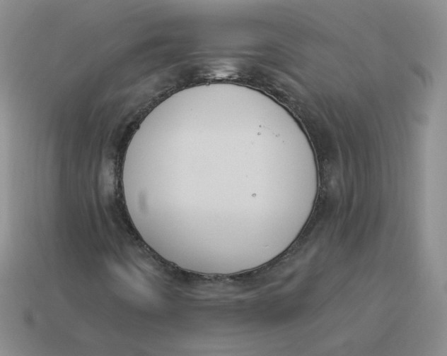 X0000113901442200910151345