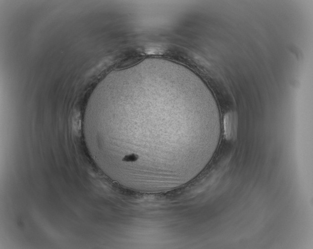 X0000113901443200910151345