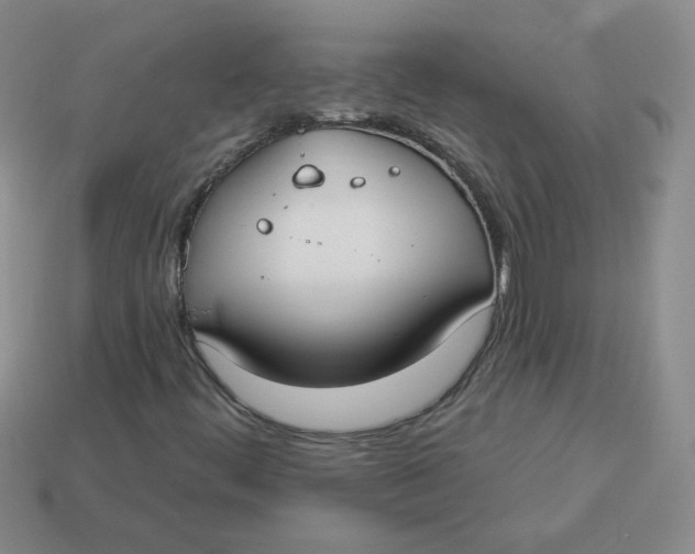 X0000113901444200910151345