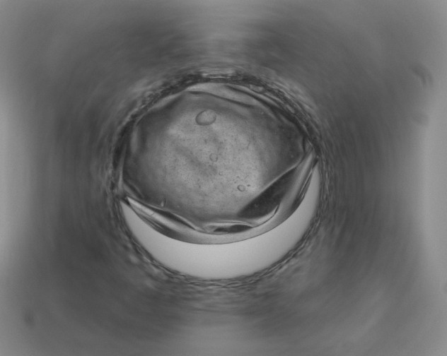 X0000113901445200910151345