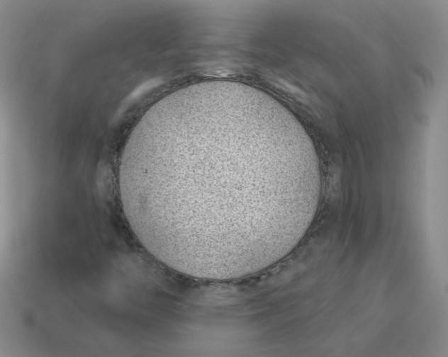 X0000113901446200910151345