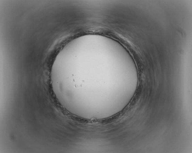 X0000113901447200910151345