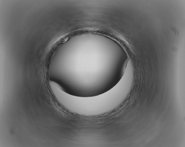 X0000113901448200910151345