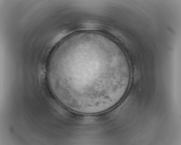 X0000113901449200910151345