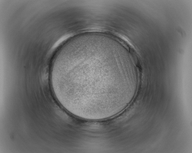 X0000113901450200910151345