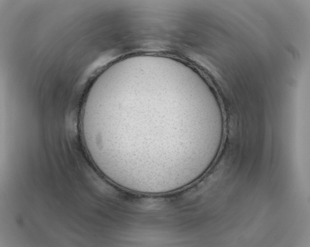 X0000113901451200910151345