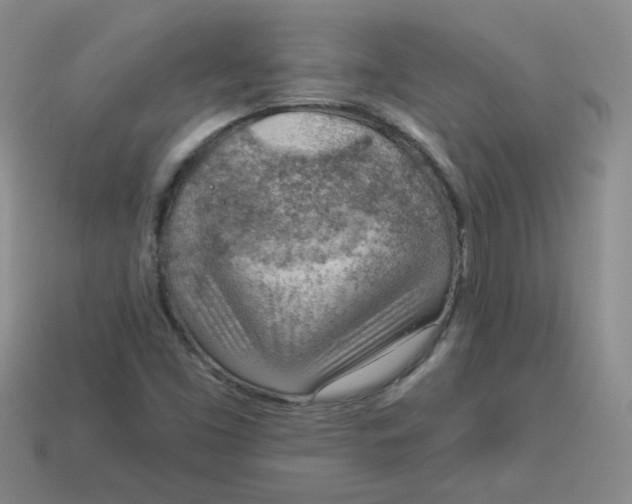 X0000113901453200910151345