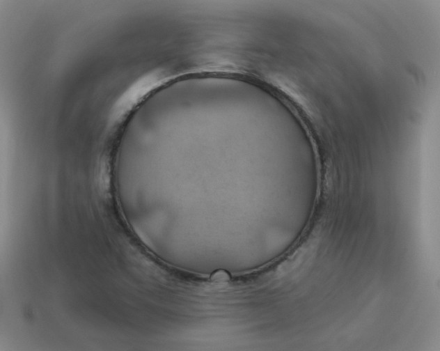 X0000113901455200910151345