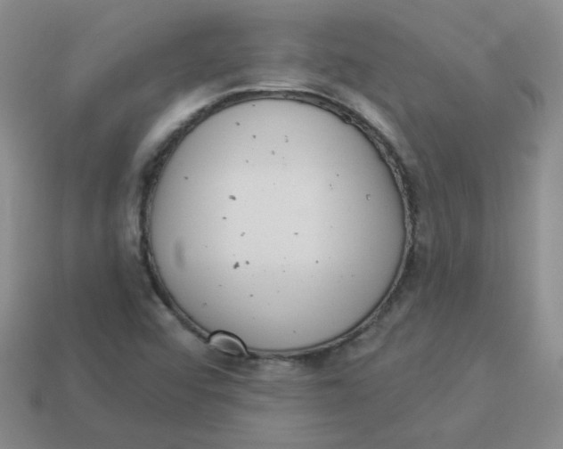 X0000113901456200910151345