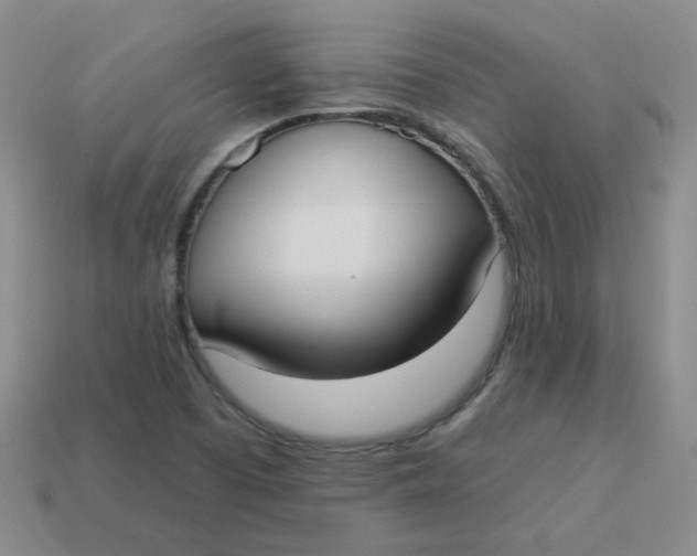 X0000113901457200910151345