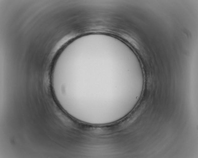 X0000113901458200910151345