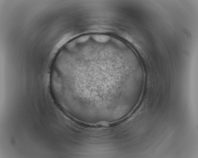 X0000113901459200910151345