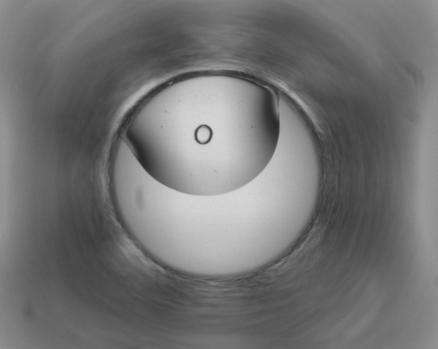 X0000113901460200910151345