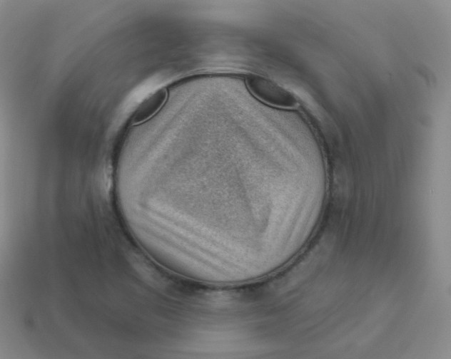 X0000113901461200910151345