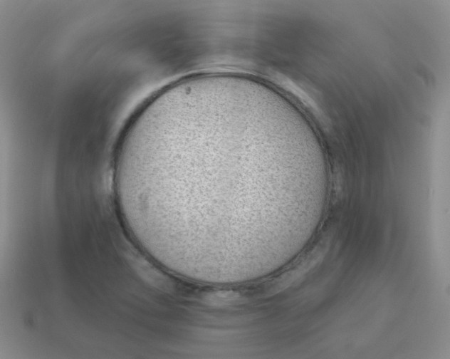 X0000113901462200910151345