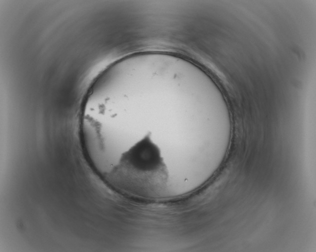 X0000113901463200910151345