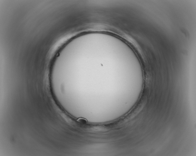 X0000113901464200910151345