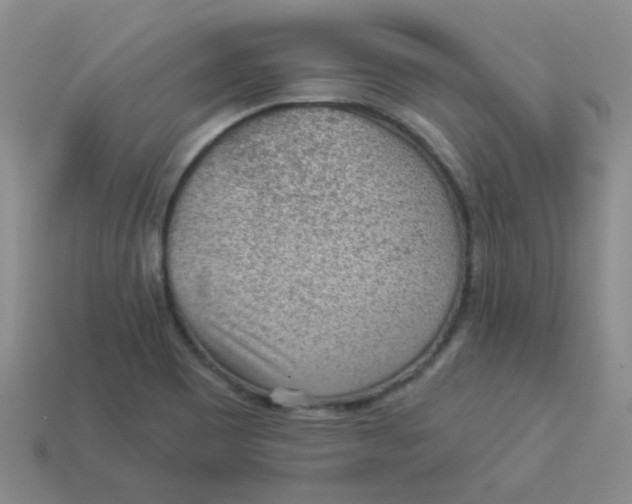 X0000113901465200910151345