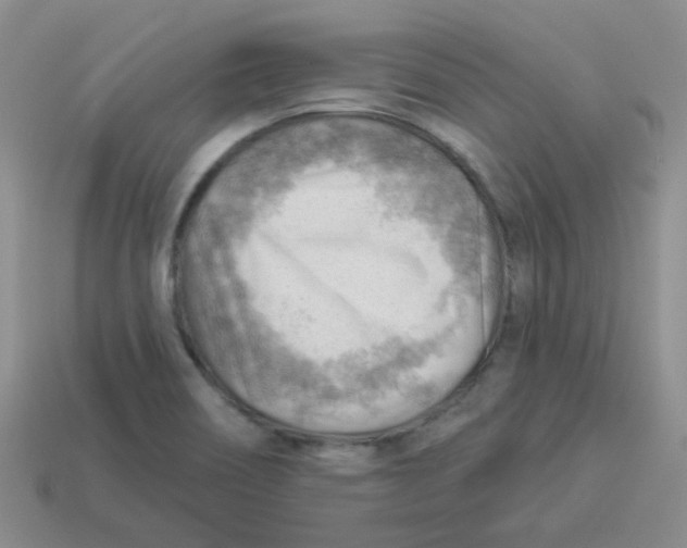 X0000113901466200910151345