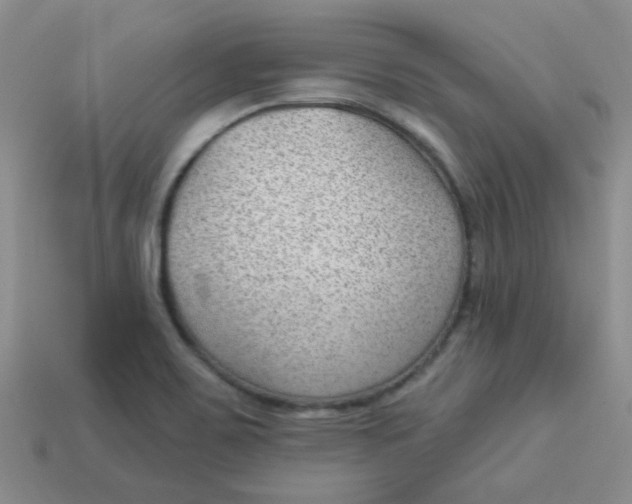 X0000113901467200910151345