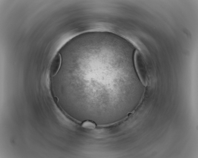 X0000113901468200910151345