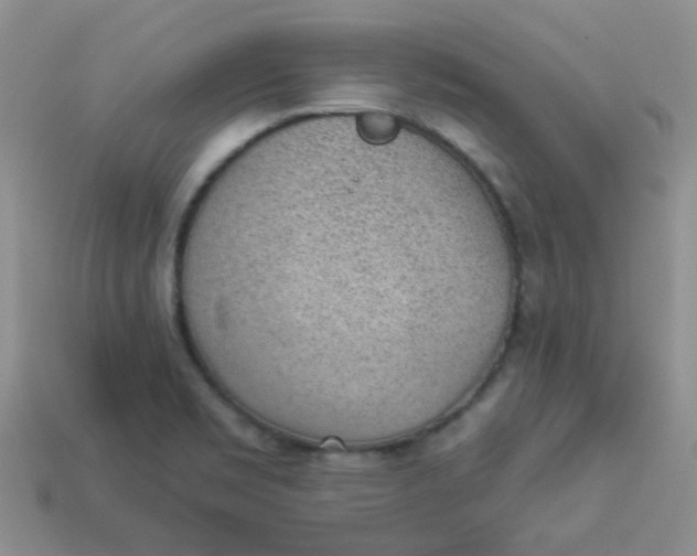 X0000113901469200910151345