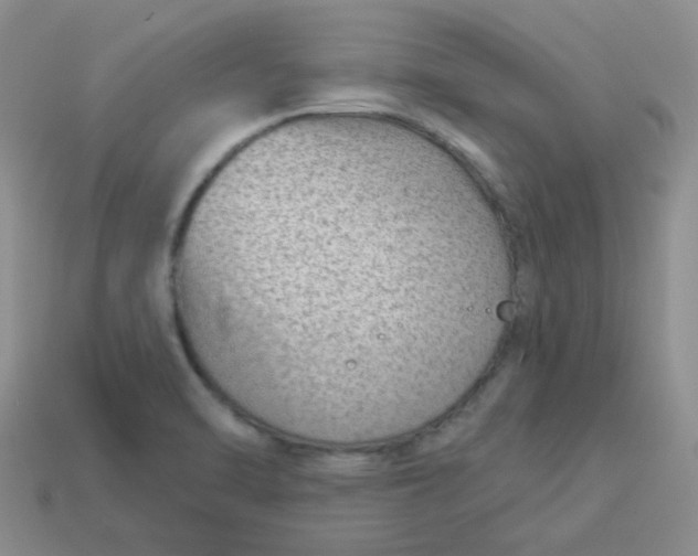 X0000113901470200910151345