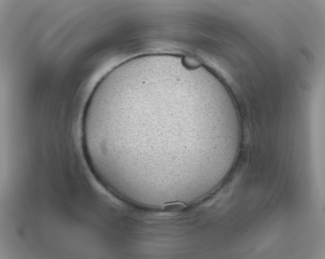 X0000113901471200910151345