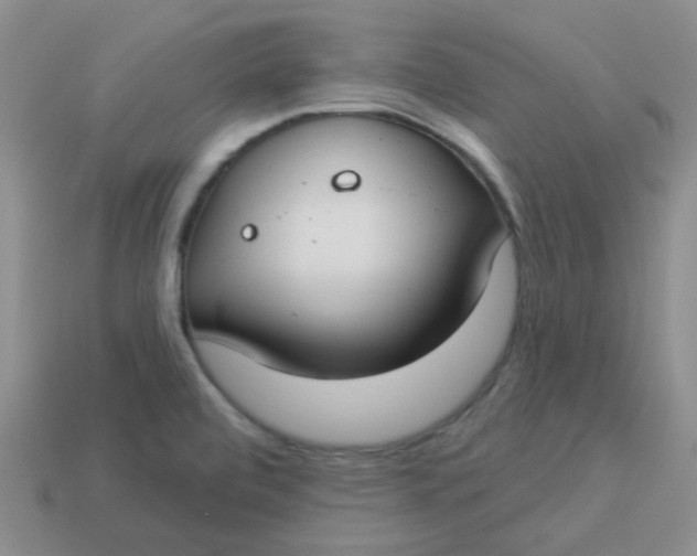 X0000113901472200910151345