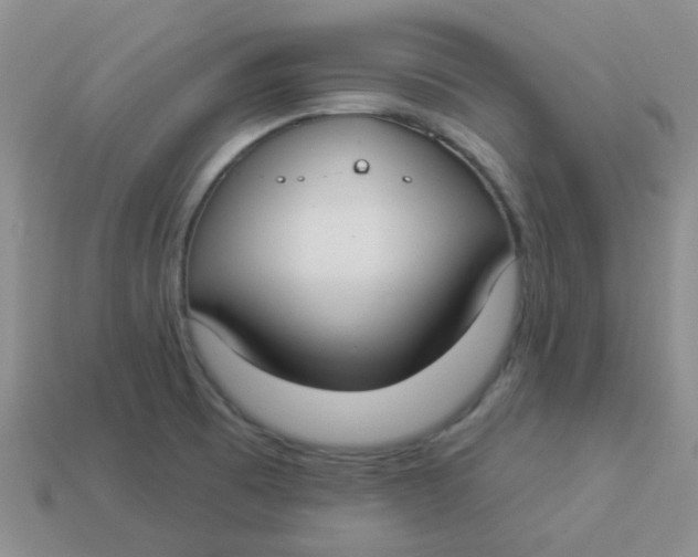 X0000113901473200910151345