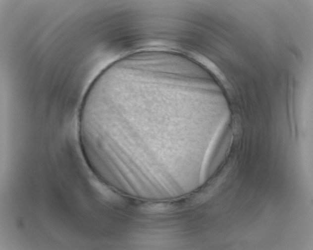 X0000113901474200910151345