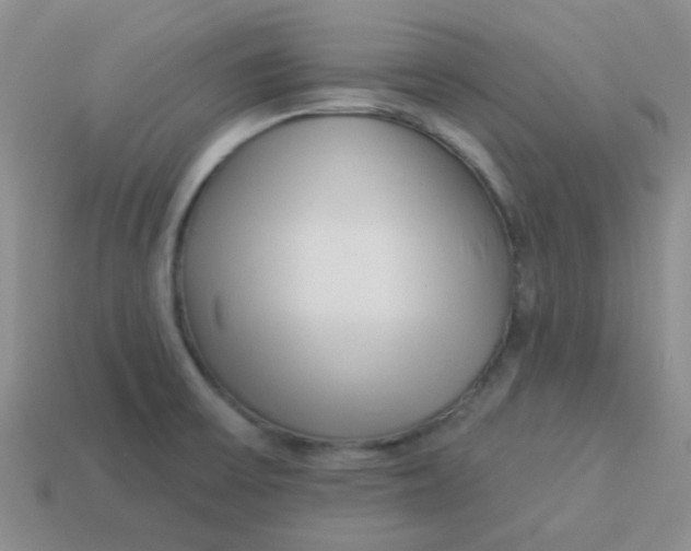 X0000113901475200910151345