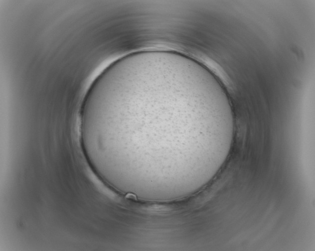 X0000113901476200910151345