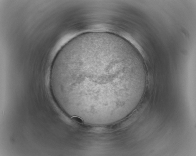 X0000113901477200910151345