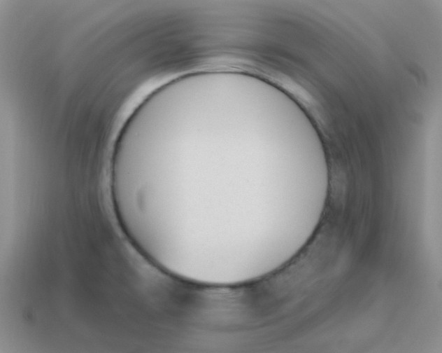 X0000113901478200910151345