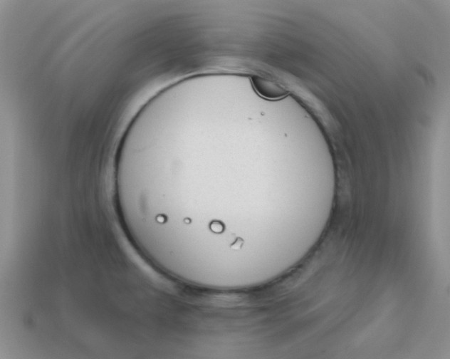 X0000113901479200910151345